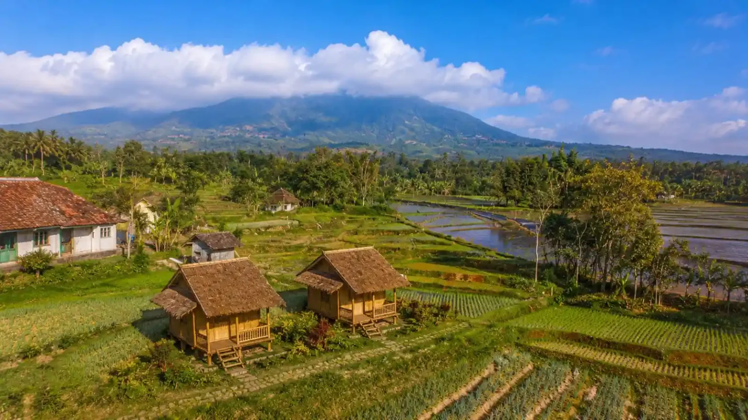 Sayang Bamboo Village Hero View